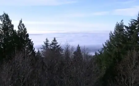 Fatality Reported at Cypress Mountain Resort, Confirm West Vancouver Police