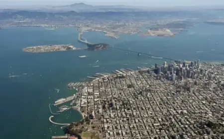 Why a Blockbuster-Free Week Boosted the Film Industry