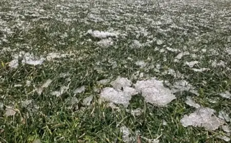 FCSB Champions’ Unified Gesture on Mioveni Turf