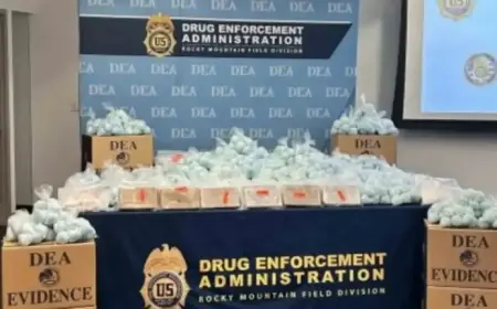 Wyoming Fentanyl Seizures Surge 264%, Linked to Mexican Cartel Operations