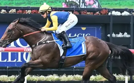 Warwoven Dramatically Withdrawn from Magic Millions Event