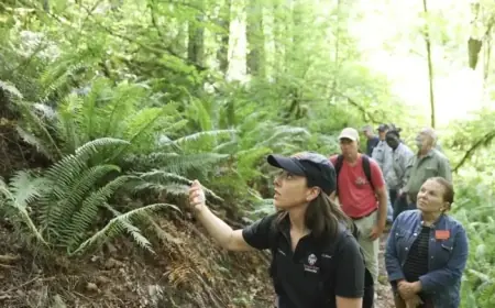 Oregon State Achieves Third Carnegie Community Engagement Classification