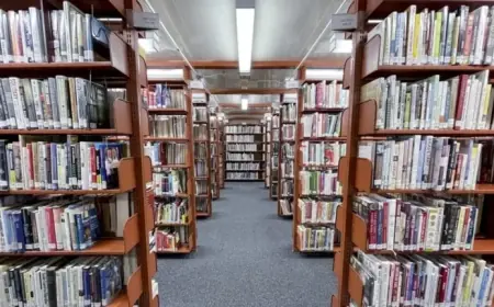 Judge Compels Anna’s Archive to Delete Data, Compliance Doubts Persist