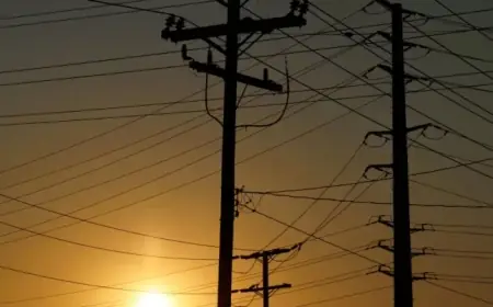 White House Pushes for Emergency Power Auction on Major US Electric Grid