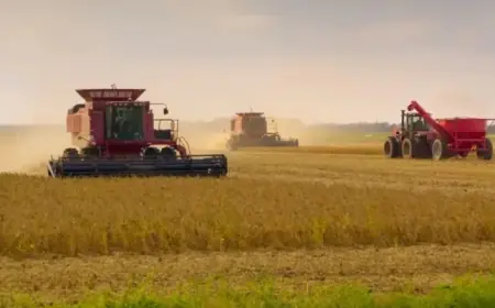 Supreme Court to Rule on Roundup Pesticide’s Lawsuit Immunity