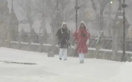 Heavy Snowfall Hits on Jan. 15, But No Records Shattered