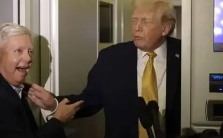 Donald Trump Appears to Unravel Live on CNN Broadcast