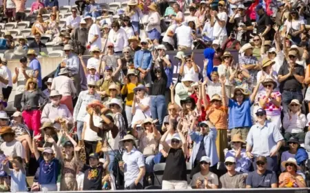 Jovic and Cocciaretto Clash in Hobart International Final Debut