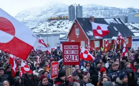 Trump Imposes Tariffs on Denmark, 7 Nations Over Greenland Purchase Deal