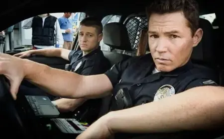 Netflix’s Hit Show Achieves 98% Audience Score Across Five Seasons