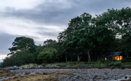 Guide to Enjoying a Phone-Free Vacation