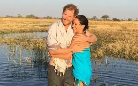 Meghan Markle Shares Lilibet-Filmed Video Featuring Prince Harry
