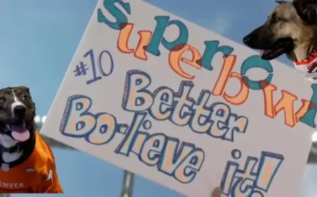 Local Shelters Name Rescued Dogs After Broncos Star Bo Nix