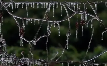 Winter Storm Strikes Midwest and East Coast, Threatens Florida with Snow