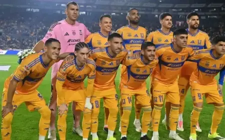 Watch Tigres vs Toluca Live: 2026 Clausura Round 3, Liga MX