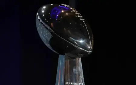 2025-26 NFL Playoffs: Schedule, Scores, Seeds, and Format Revealed