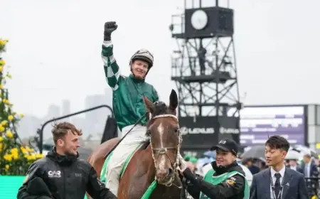 Two-Time Cox Plate Champion Via Sistina Retires