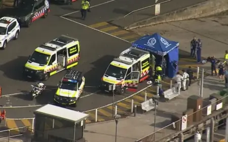 Shark Bites Boy in Sydney’s Eastern Beaches