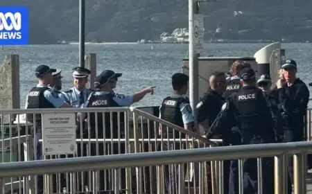 Shark Attack Leaves Boy Critically Injured at Sydney Harbour Beach