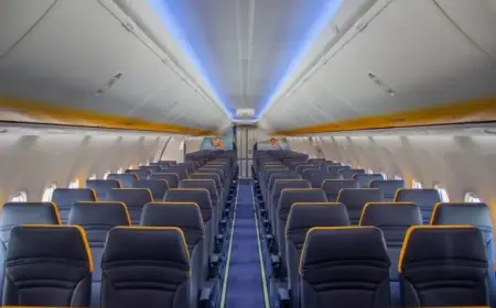 Elon Musk Eyes Ryanair Purchase, Urges CEO Michael O’Leary’s Removal