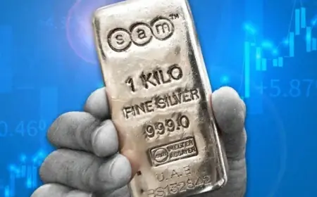 Comprehensive Investor Guide: Historic Silver Rally Explained in 10 Charts