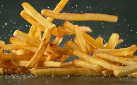 Discover the Top French Fries in Every US State
