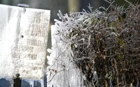 Rare Southern Snowfall Transforms Parts of Georgia