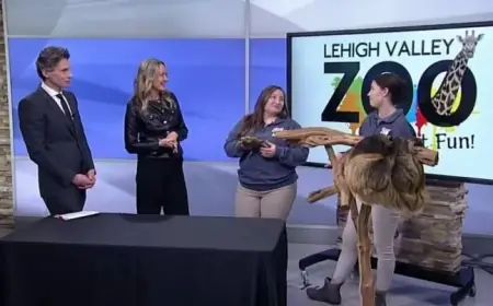 Exclusive Insight: Special Guests from Lehigh Valley Zoo Unveiled