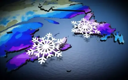 Coastal Storm Brings Up to 30 cm of Snow to Eastern Region
