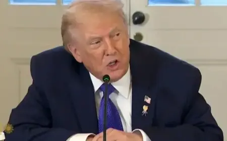 America’s 250th Anniversary Sparks a Crucial Assessment of President Trump