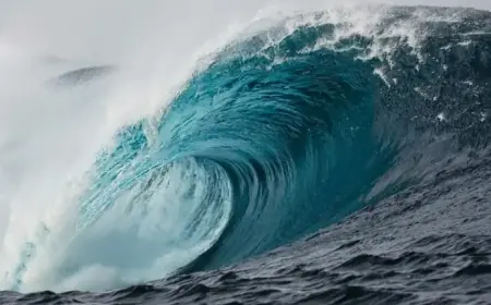 China’s Trade Surplus: An In-Depth Analysis, Part III