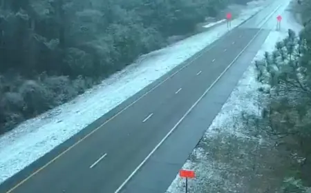 Snow in Florida 2026: Rare Panhandle flakes return as winter storm brushes Georgia and the Southeast