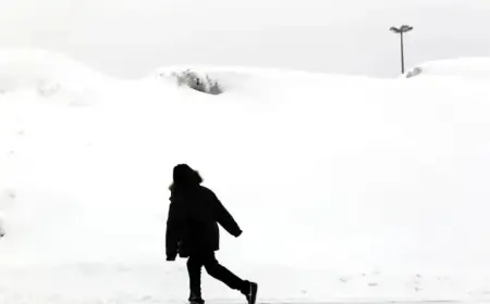 Massachusetts Snowfall Totals: Towns and Cities Hit Hardest on Saturday