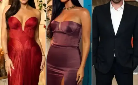 “Man Identifies Celia the Dog in Heartwarming Reunion”