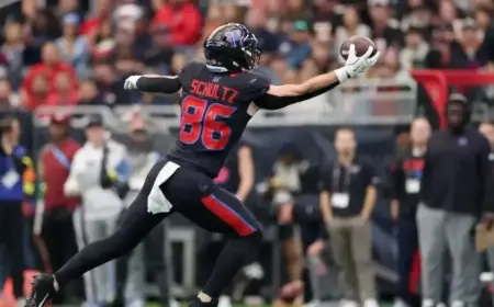 Texans’ Dalton Schultz Suffers Calf Injury in Playoff Game vs. Patriots