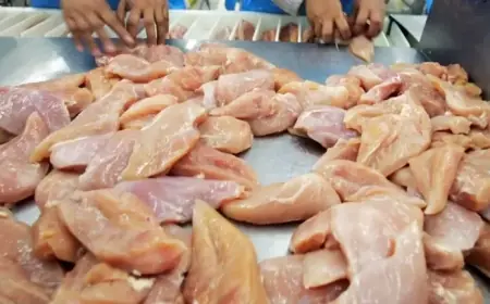 Chicken Recalled in 7 States, Including Ohio, for Listeria Risk