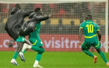 Senegal Triumphs in Dramatic Africa Cup of Nations Victory Over Morocco