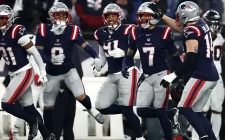 Patriots Triumph Over Texans: NFL Divisional Playoffs Recap and Stats