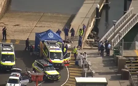 Sydney Shark Attack Sparks Alarm at Shark Beach: Boy Critical After Bite in Sydney Harbour Near Nielsen Park