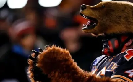 Theory Transforms Fan Loyalty, Sparking Support for Chicago Bears