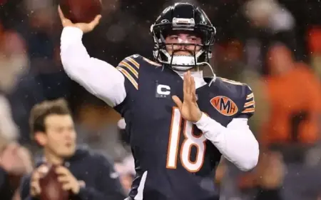 Rams vs. Bears: Live NFL Playoffs Score, Predictions, and Odds Update