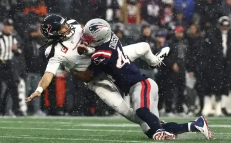 Patriots Triumph Over Texans in Turnover-Filled Battle to Reach AFC Championship