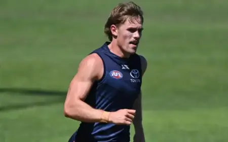 Star Crow Exits Training Track on Stretcher