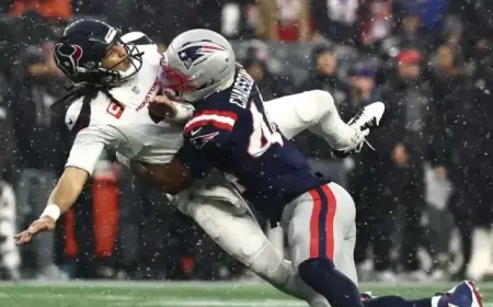 Patriots Triumph 28-16 Over Texans: NFL Divisional Round Analysis