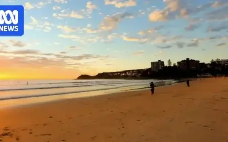 Shark Attacks Man at Sydney Beach: Third Incident in Two Days