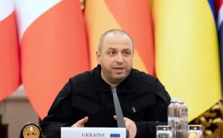 U.S. Peace Deal Talks Resume in Davos, Reports Top Ukrainian Negotiator