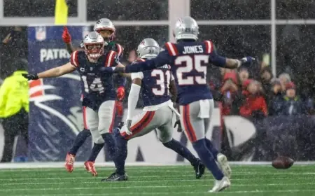 National Reactions as Patriots Advance to AFC Championship Game