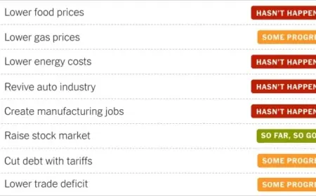 Assessing Trump’s Economy After One Year: Food Prices and Stock Market Insights