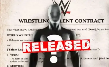 Former WWE Star Discloses Release Months After New Contract Signing
