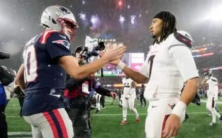 NFL Divisional Round: Key Winners and Losers from Texans, Patriots, Rams, Bears Matchups